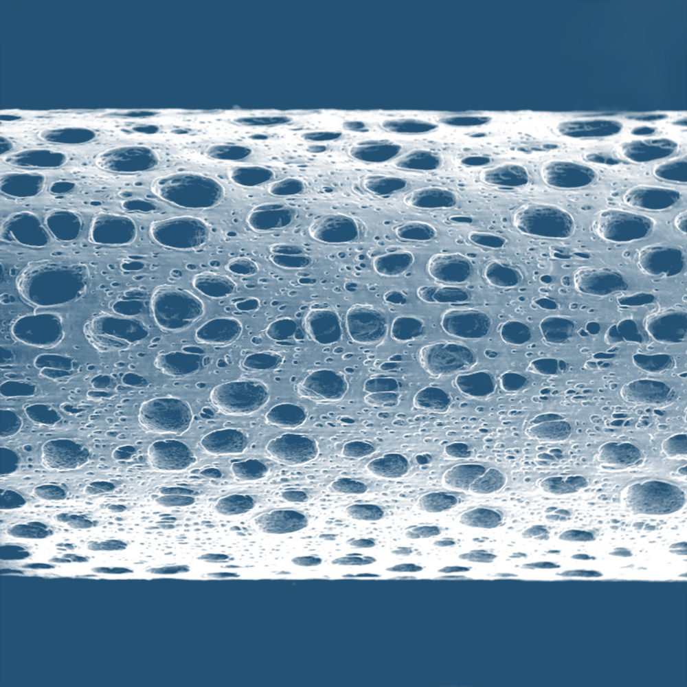 External struture of Hollow fiber